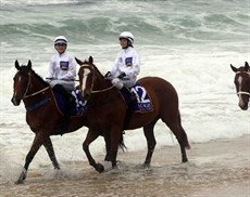 Beach gallops 29