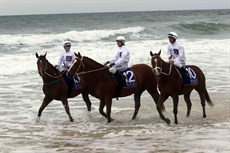 Beach gallops 31