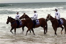 Beach gallops 33