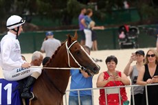 Beach gallops 39