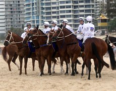 Beach gallops 116