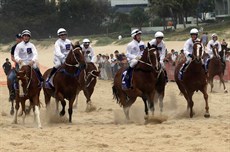 Beach gallops 161