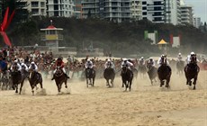 Beach gallops 167