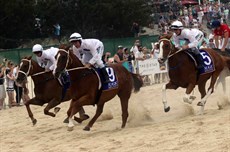 Beach gallops 179