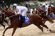 Beach gallops 182