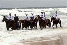 Beach gallops 196