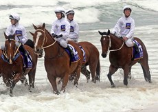 Beach gallops 195