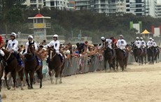 Beach gallops 209