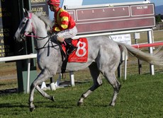 Race 7 - 11