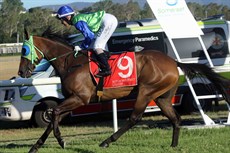 Race 7 - 12