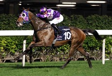 Leg 2 - Glory Star - 2