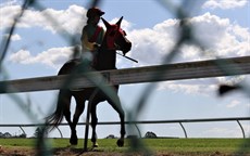 Race 4 - 4