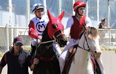 Clerk Of The Course 13