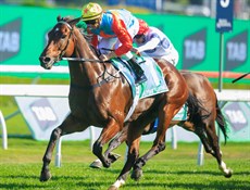 Photos: Courtesy Hing Kong Jocley Club