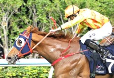 Photos: Darren Winningham