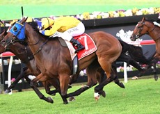 Photos: Graham Potter