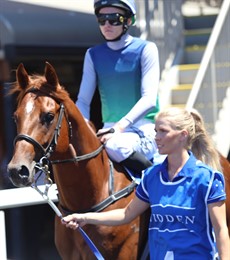 Star Of Jamaica

Photo: Graham Potter