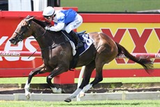 Photos: Graham Potter and Darren Winningham</b.