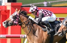 Photos: Darren Winningham