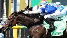 Photos: Graham Potter and Darren Winningham