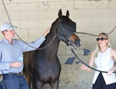 Photos: Graham Potter