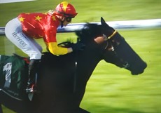 Wonderfully Made

Photos: Racing WA