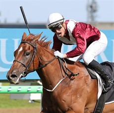 Photos: Darren Winningham