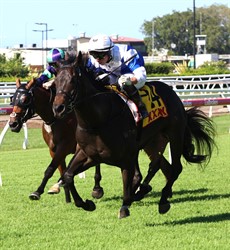 Cryption's Desire chasing into second place  at Doomben on April 8
