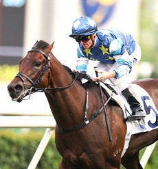 Gold Patch gives Zac Purton his 100th win of the campaign.

Photo: Hong Kong Jockey Club