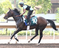 ... and at trackwork at Sha Tin this week