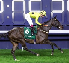 Royal Champion

Photos: Hong Kong Jockey Club