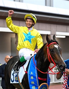 Lucky Swaynesse

Photo: Hong Kong Jockey Club