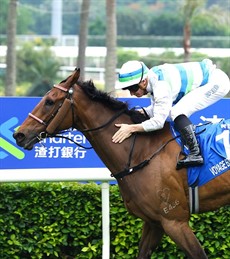Voyage Bubble

Photos: Hong Kong Jockey Club