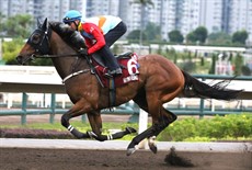 Ka Ying Rising at trackwork earlier this week

Photos: Darren Winningham</b.