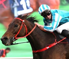 Photos: Darren Winningham</b.