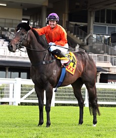 ... where he will partner the well performed, impressive looking Grafterburners in the Group 1 Doomben 10 000