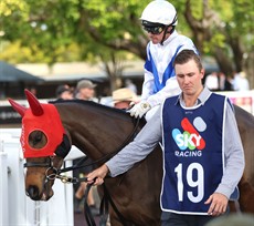 Prince Levi (16/05/26)