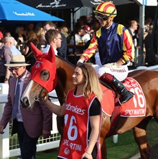 Toby Edmonds keeps Spicy Martini company as the field heads out onto the track ...