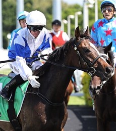 Mark Du Plessis and Prince Levi