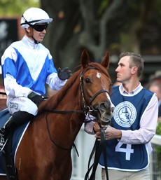 Brisbane Winter Carnival - Tatts Tiara Day

Sun Worshipper goes oiut onto the track before earning a gallant second place in the Listed Tattersall's Gold Crown