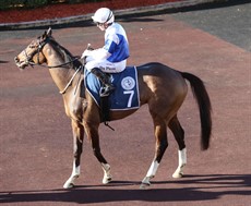 Prince Levi (above and below) returns to scale aftre giving his all