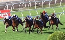 Prince Levi, the outsider of the pack, gives them a fright racing into contention along the rail in the Tattersall's Cup... but he would be run out of it late (27/06/26)