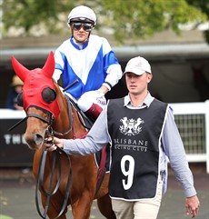 Sweet Pretender ... finished second in the Townsville Guineas (08/08/26)