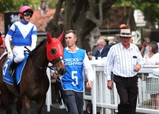 Prince Levi

Photos Graham Potter and from Sky Racing