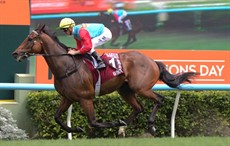 Ka Ying Rising

Phptos: Darren Winningham</b.