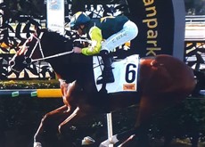 Yellow Brick wins The Archer